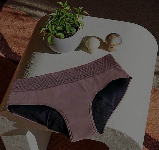 Womens innerwear manufacturer