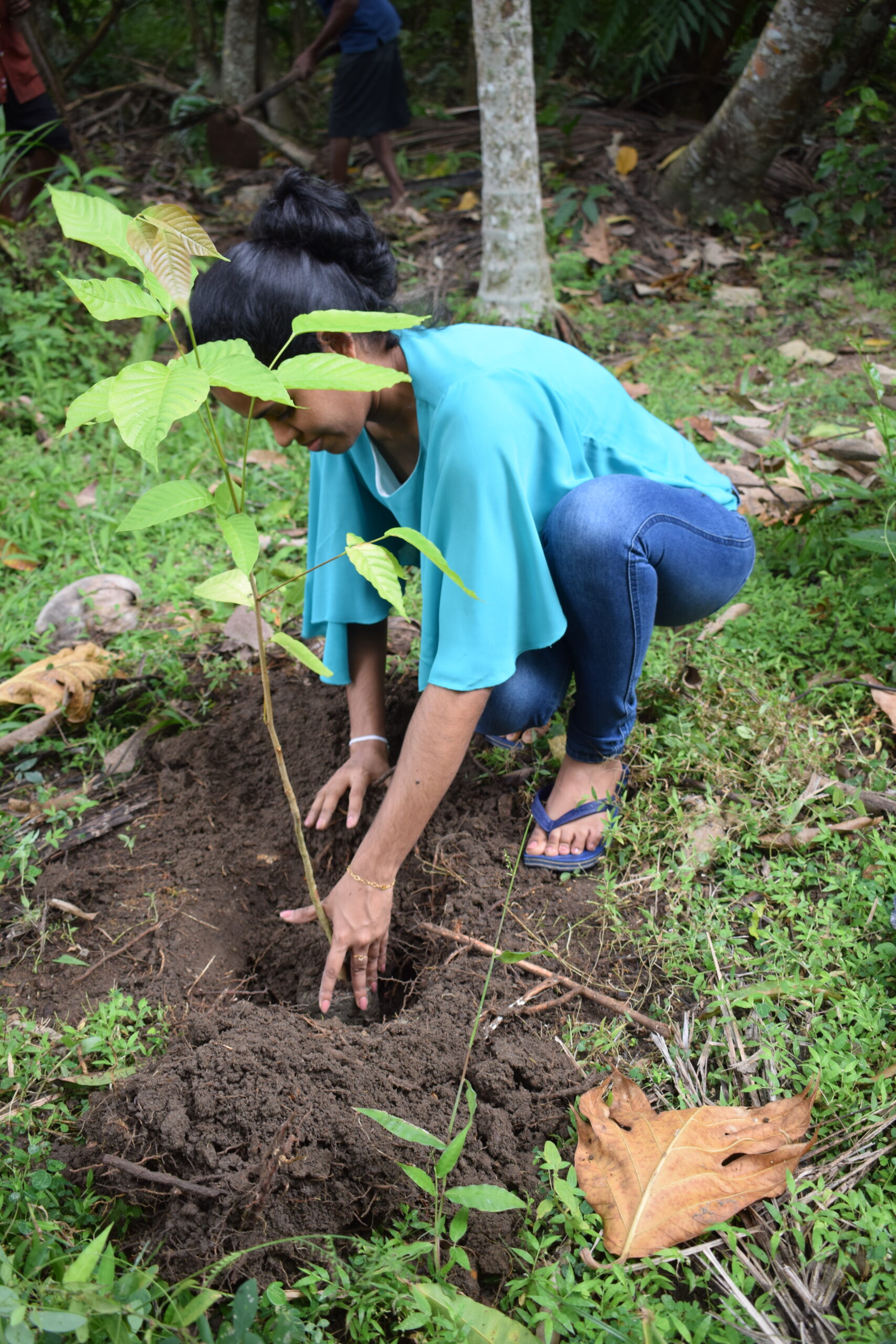 Girl planting tree
