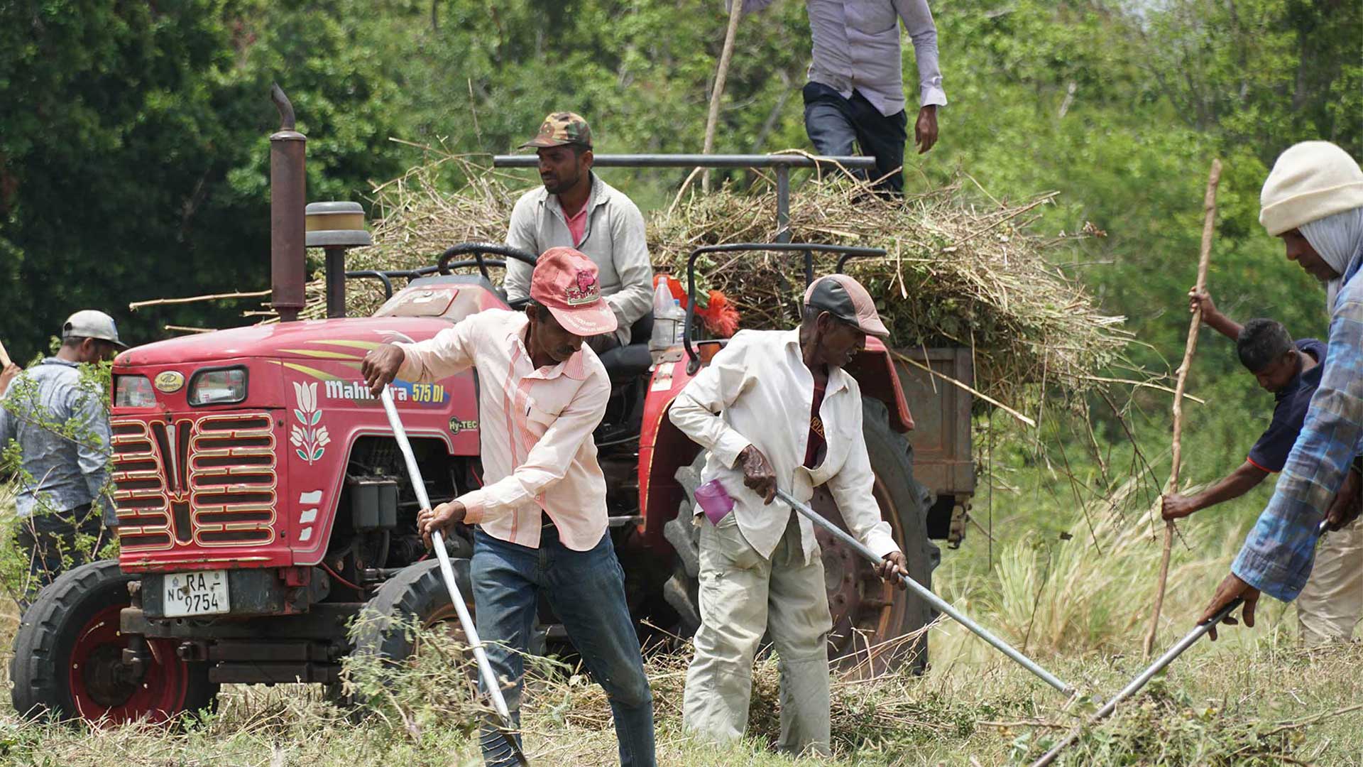 Farming