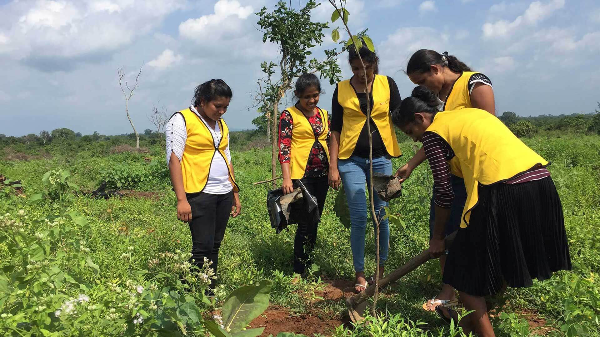 Udawalawe tree planting