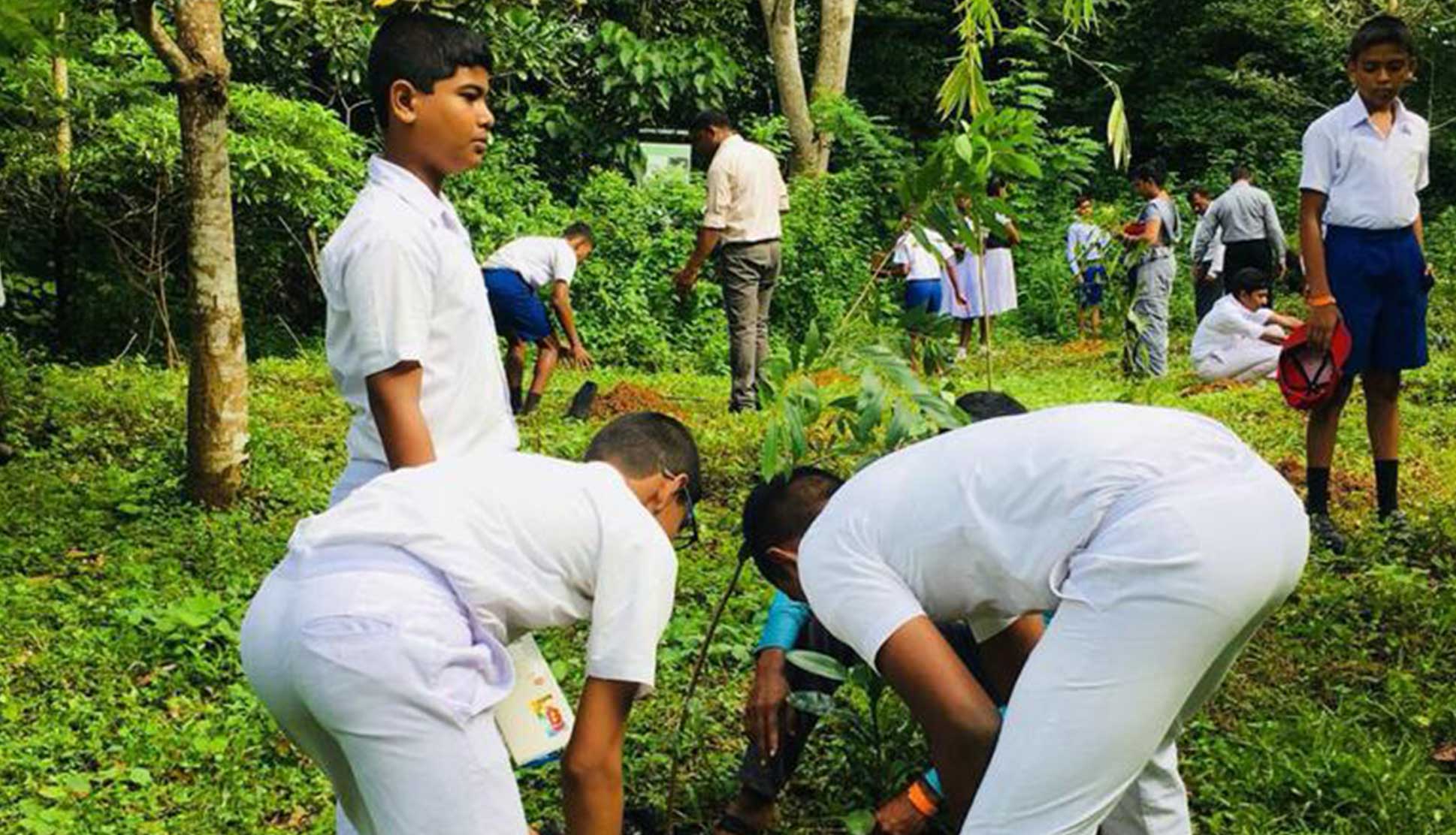 Boys planting tree