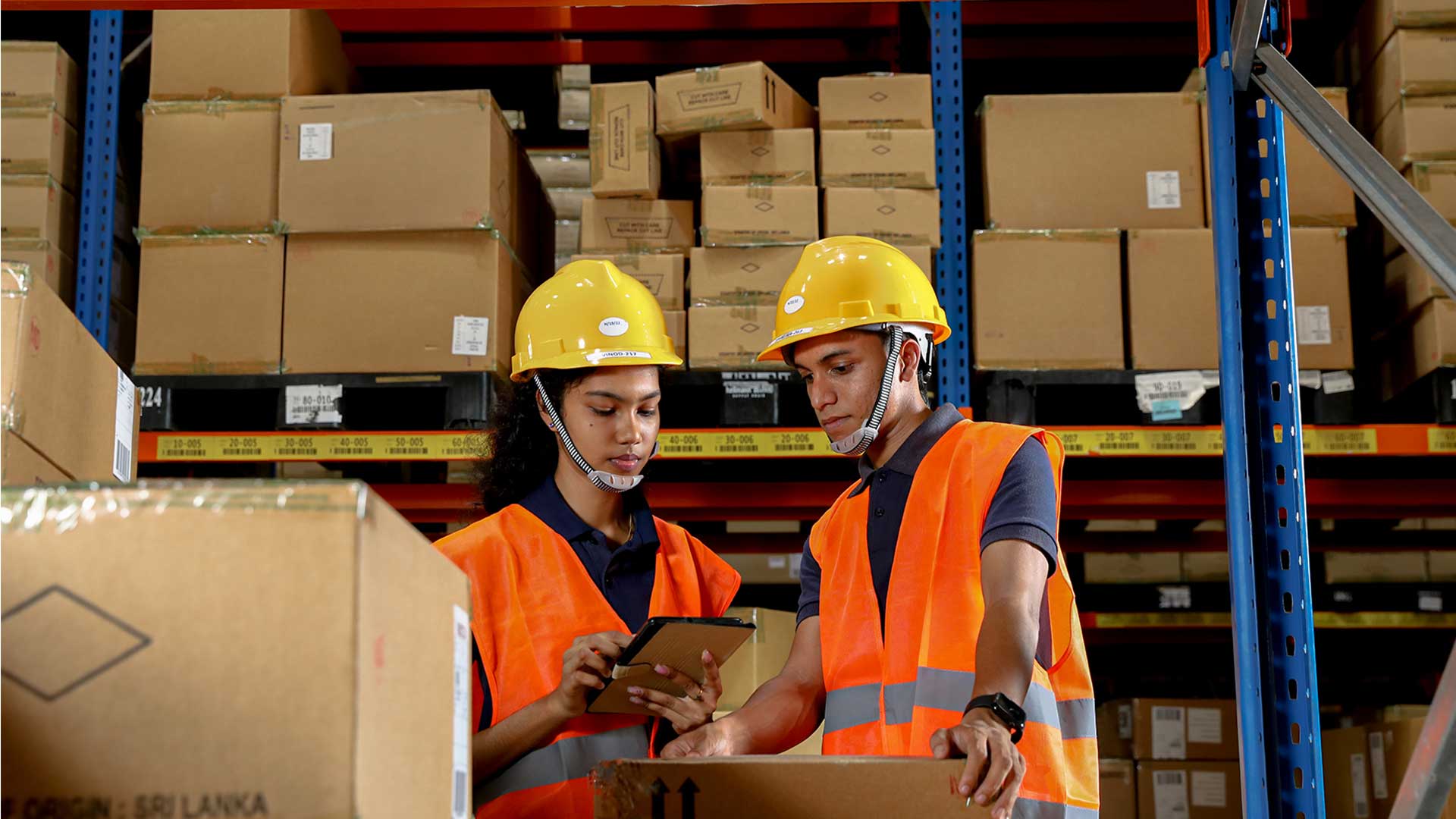 Warehousing and distribution services